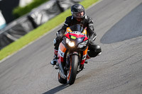 PJ-Motorsport-2019;donington-no-limits-trackday;donington-park-photographs;donington-trackday-photographs;no-limits-trackdays;peter-wileman-photography;trackday-digital-images;trackday-photos